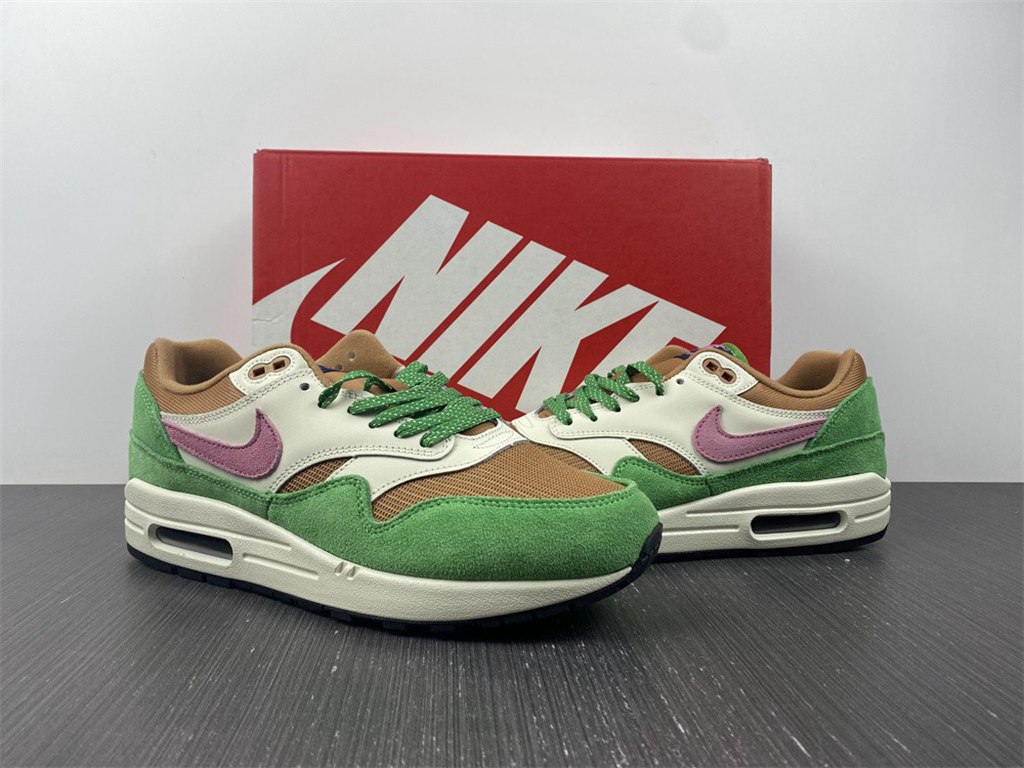 Nike Air Max 1 NH Treeline DR9773-300